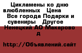 Цикламены ко дню влюбленных › Цена ­ 180 - Все города Подарки и сувениры » Другое   . Ненецкий АО,Макарово д.